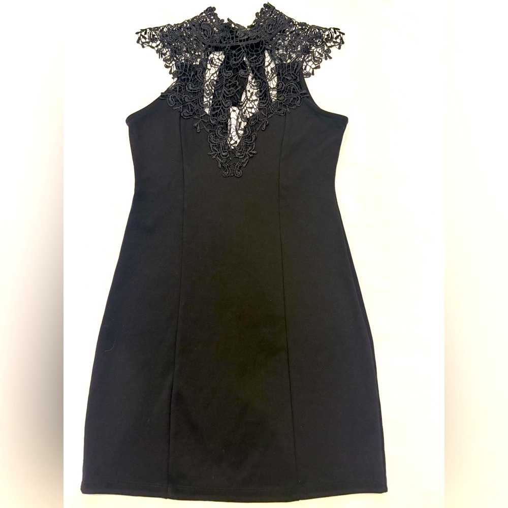L’atiste Elegant Black Dress with Lace Detail